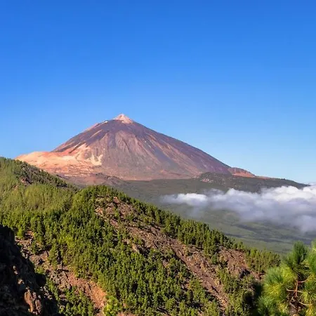 Nice Near The Beach アパート Tenerife Island